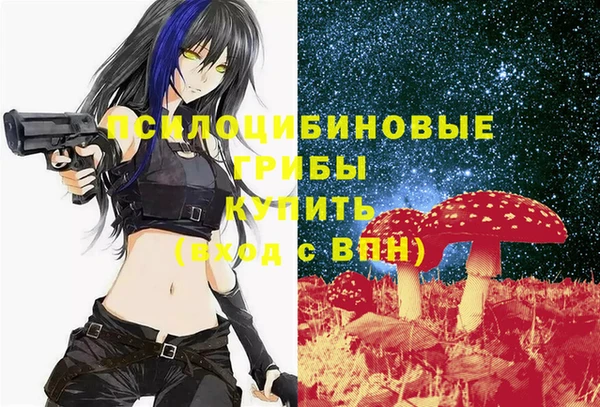 стафф Богородицк